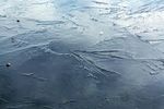 Методические рекомендации по пропаганде правил безопасности людей на воде в осенне-зимний период «Тонкий лед»
