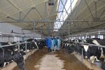 В СПК (колхоз) «Мир» Дебесского района 13 ноября состоялось открытие молочно-товарной фермы на 200 голов. Под новую ферму реконструирован один из корпусов бывшего свинокомплекса в деревне Сюрногурт.